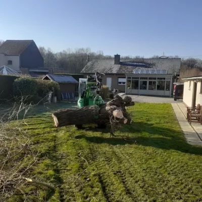 Boomverzorging Lubbeek