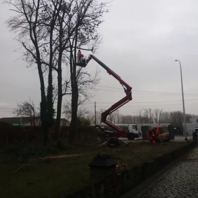 Boomverzorging Lubbeek
