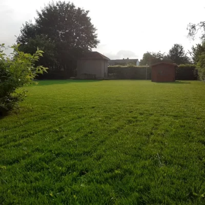 Aanleg gazons Lubbeek